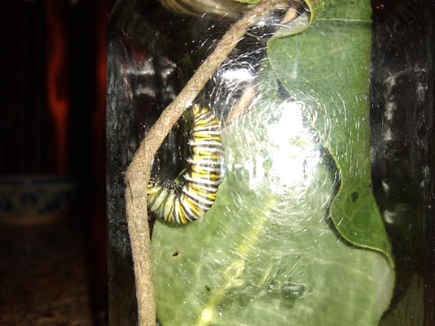 IMG_20190817_180835114