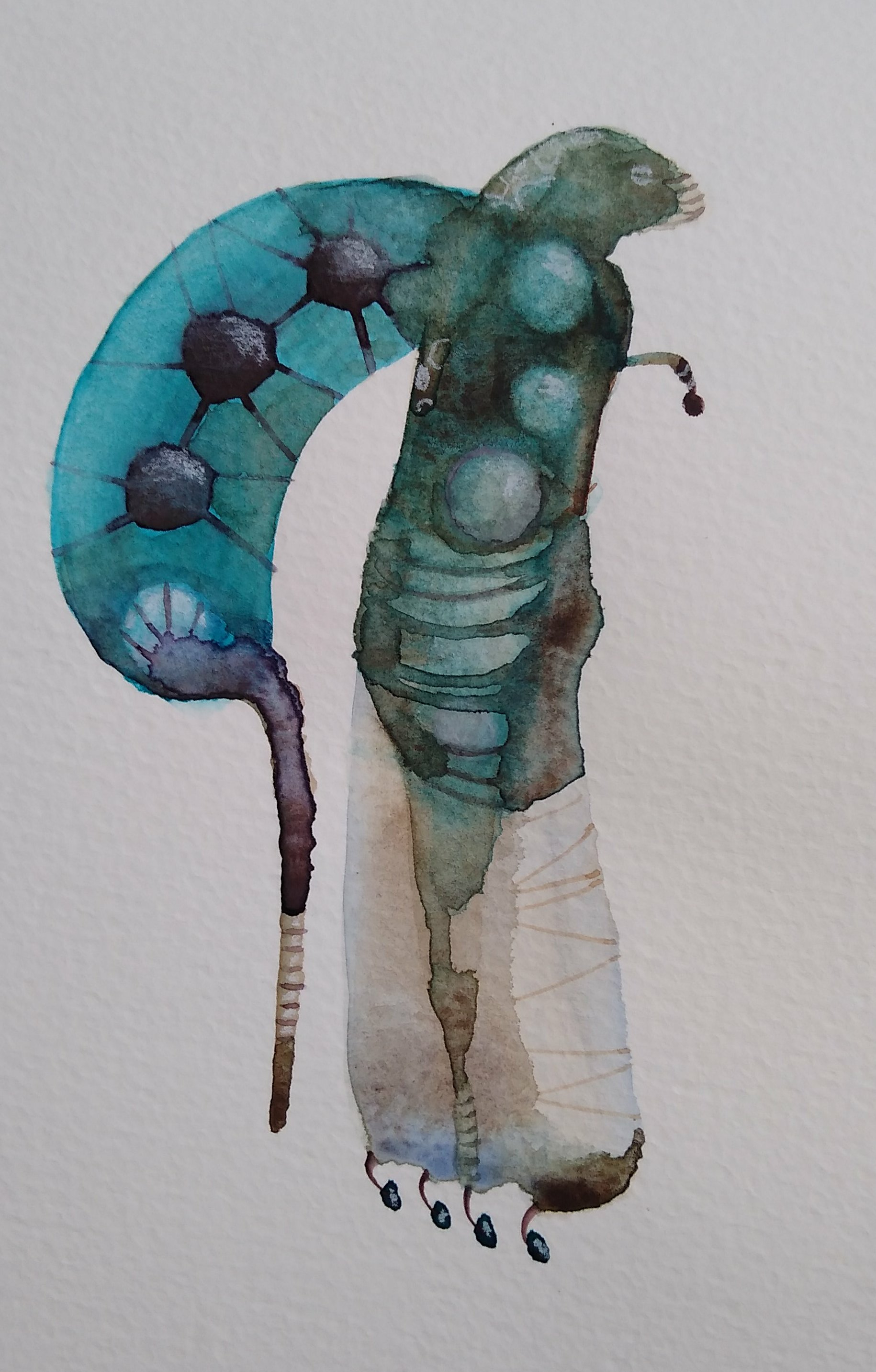 PHOTO_20200721_085512