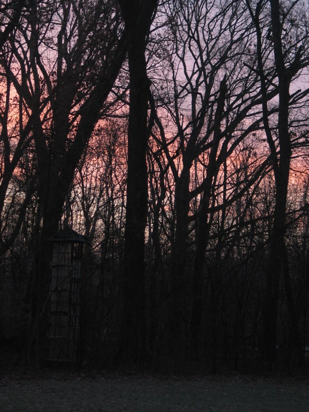 B58124E2-1441-47A3-A2C1-863F8C810316