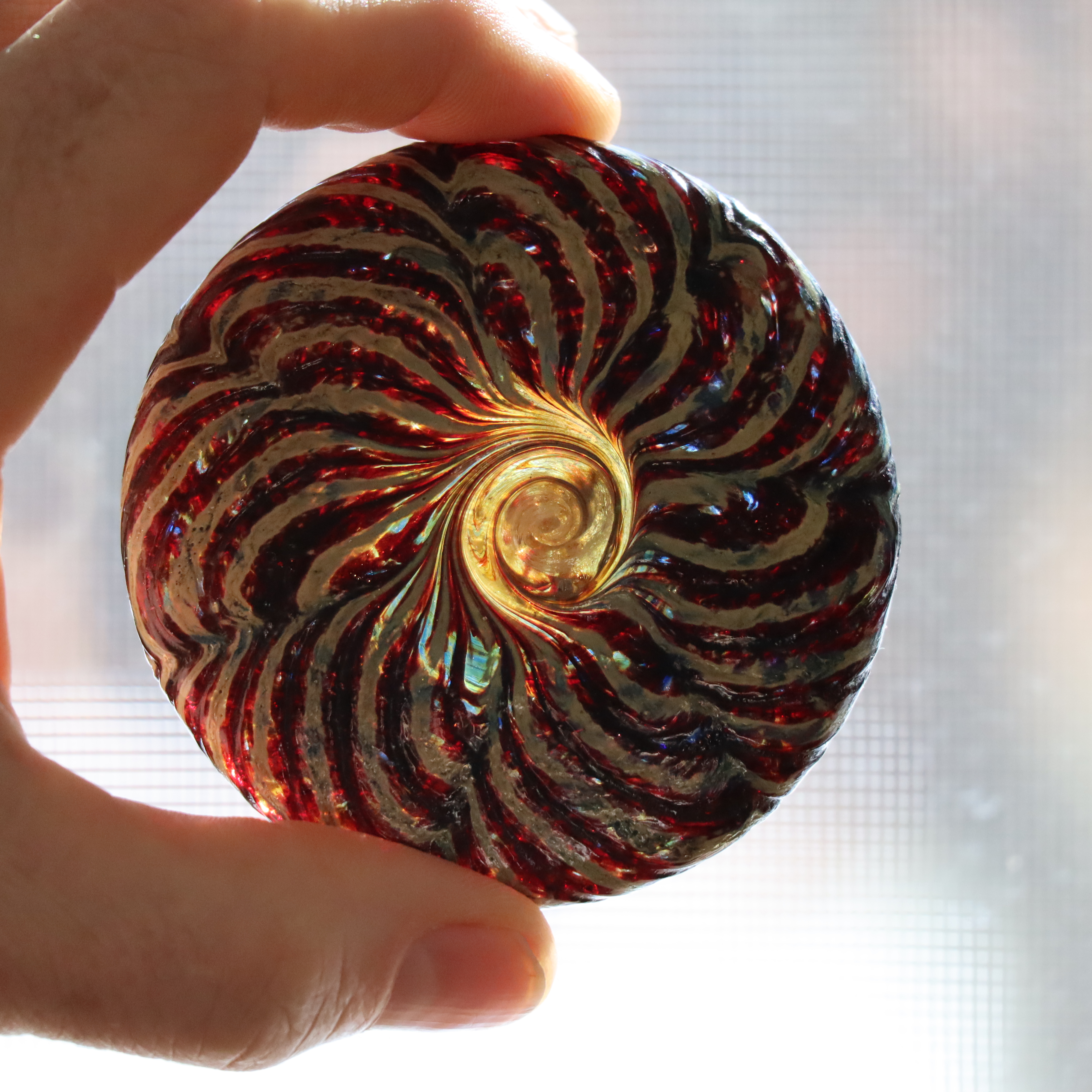 64E20AE2-222E-46DD-B09E-8822D69A343A