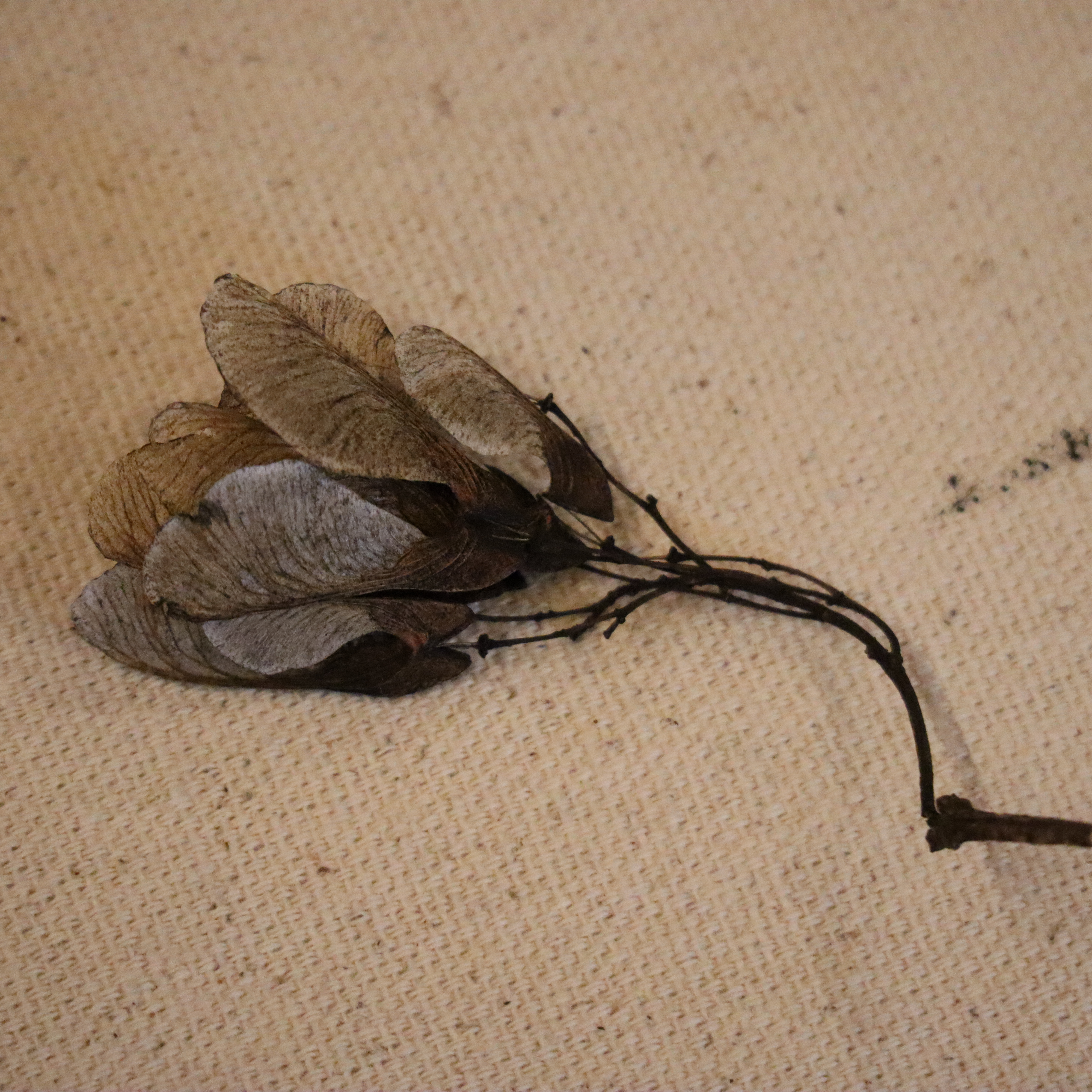 D17AB720-8B65-464A-B0B8-1F726A373603