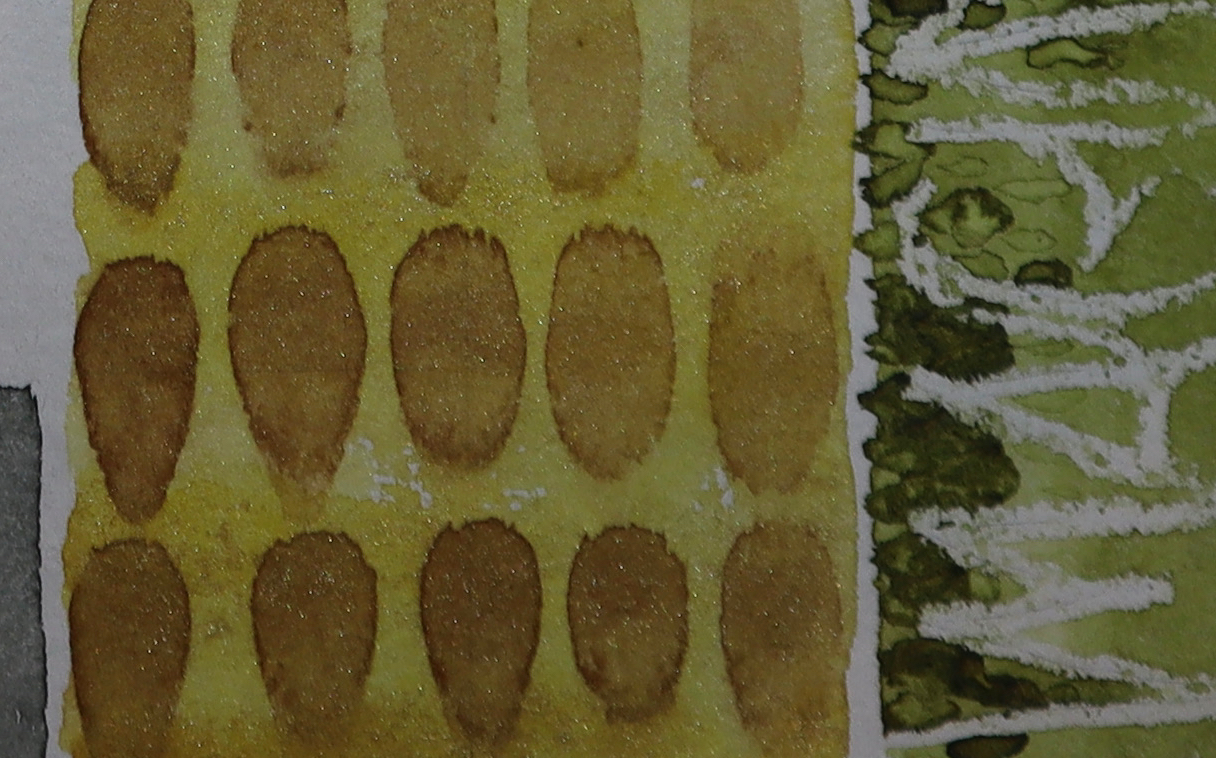 6F759427-3265-4784-A539-35D4D329E35C_1_201_a